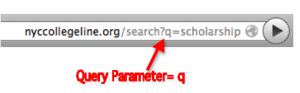 What is a Query Parameter?